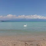 Elisea * סירמיונה